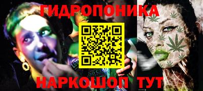 PSILOCYBIN Заволжье