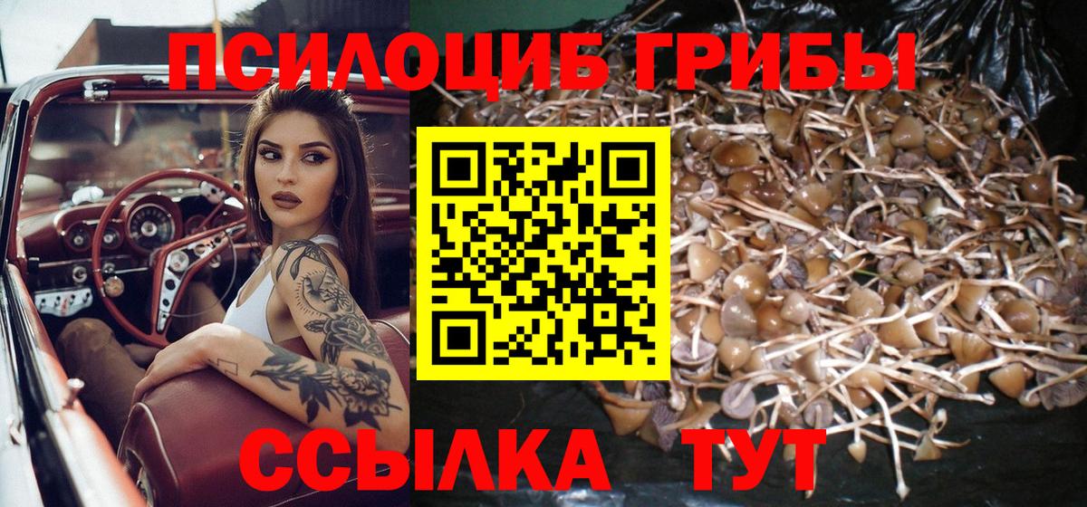 Псилоцибиновые грибы GOLDEN TEACHER  Галлюциногенные грибы мицелий  Жигулёвск  как найти закладки  Вход с VPN 