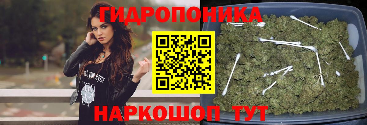 Конопля планчик Жигулёвск